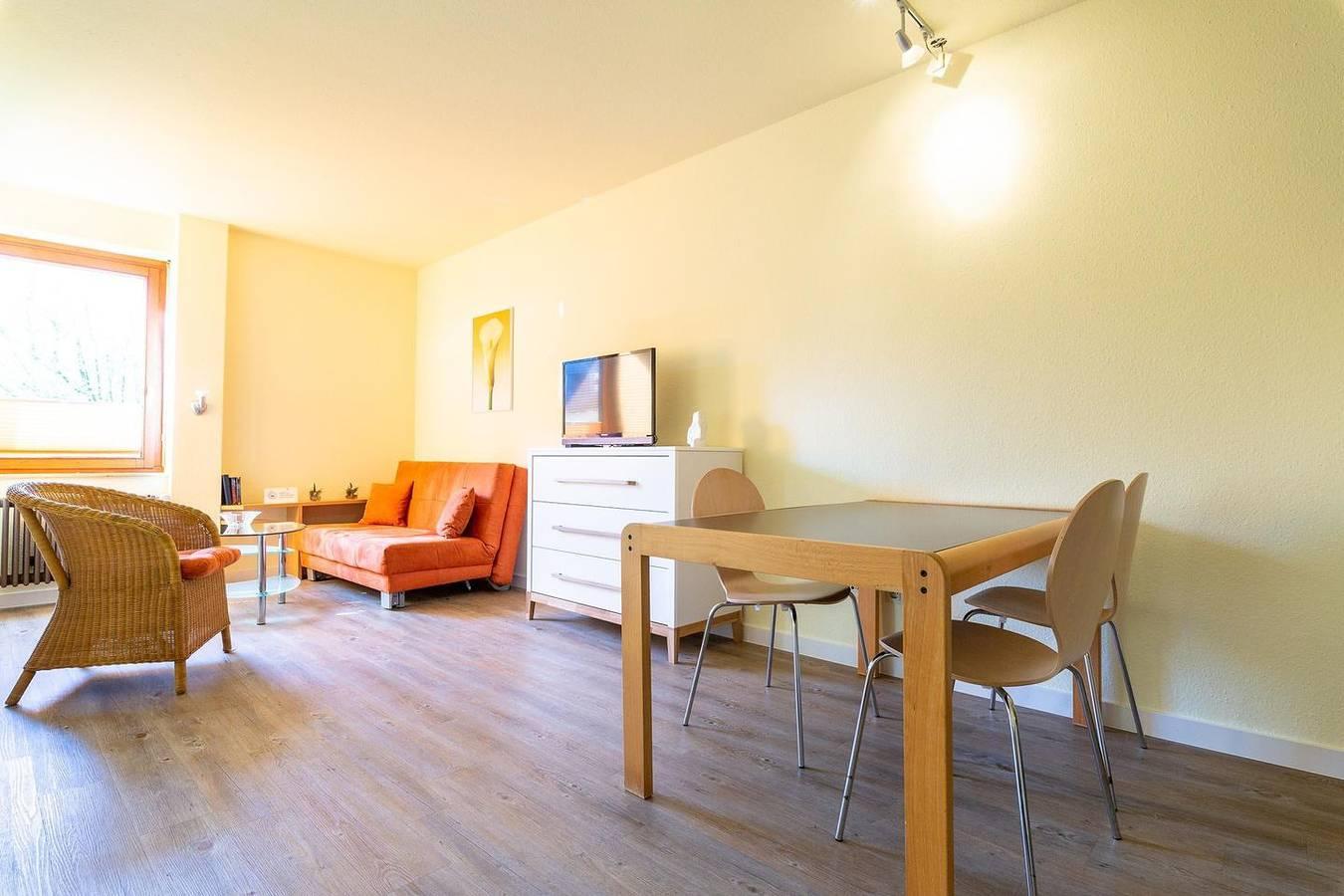 Vakantieappartement in Bodensee, Duitsland voor 3 personen foto 3