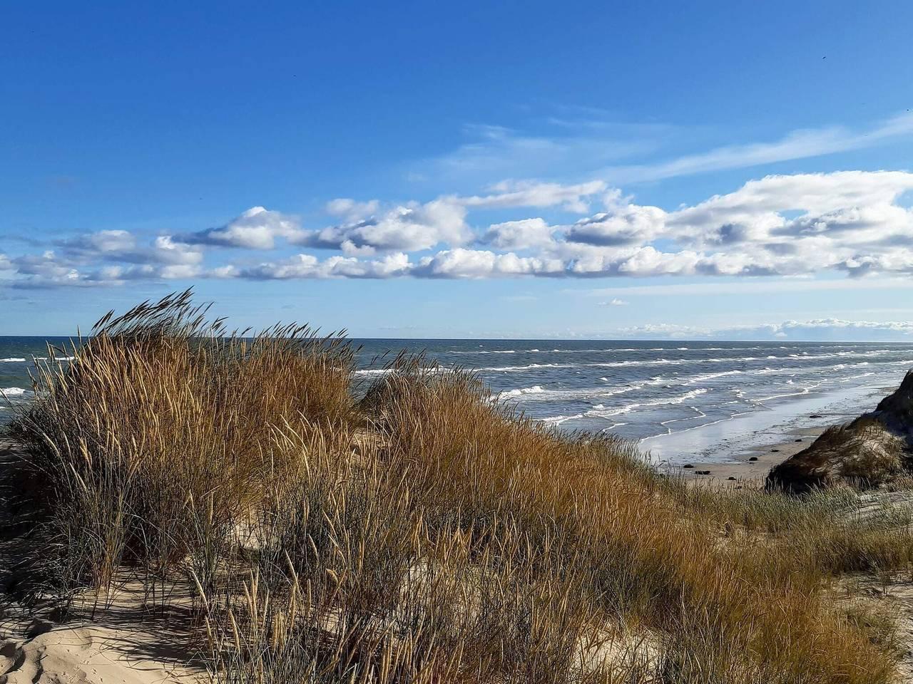 Vakantiehuis in Skagen, Denemarken voor 5 personen foto 13