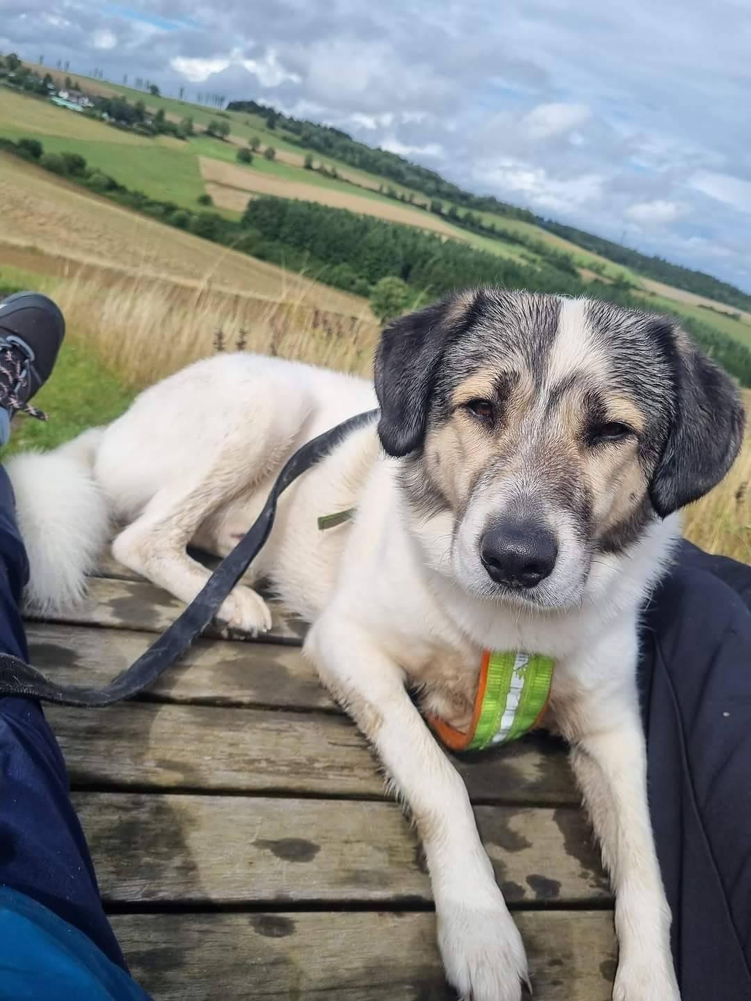 Vakantiehuis met balkon in Schalkenmehren, Vulkaan-Eifel, Duitsland voor 4 personen foto 19