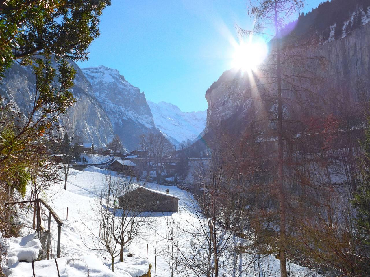 Vakantieappartement met hond toegestaan in Wengen, Lauterbrunnen, Zwitserland voor 4 personen foto 20