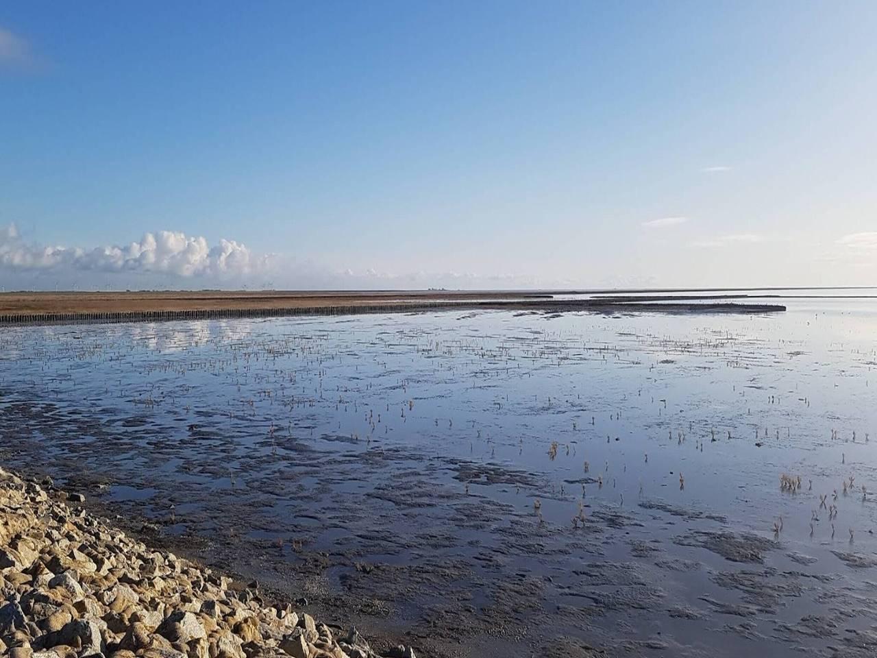 Luxe ingericht vakantiehuis vlakbij het strand in Dagebüll, Noord-Friesland, Duitsland voor 5 personen foto 24