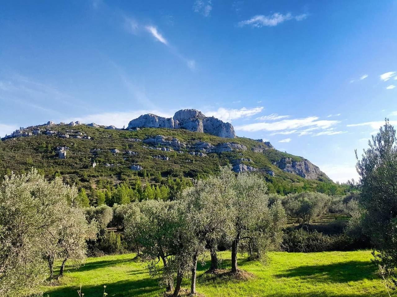 Gezellig landhuis in Les Alpilles in Paradou, Frankrijk voor 4 personen foto 24