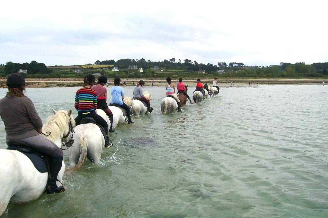 Stenen Huis in Bretagne bij Zandstrand in Penvénan, Roze Granietkust, Frankrijk voor 4 personen foto 24
