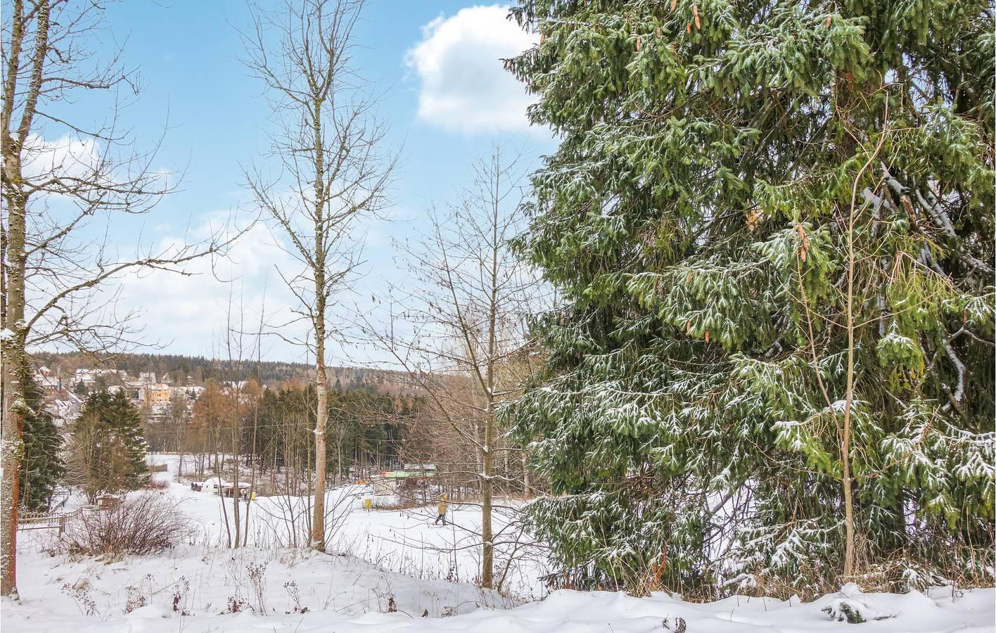 Vakantieappartement in Harz, Duitsland voor 4 personen foto 10