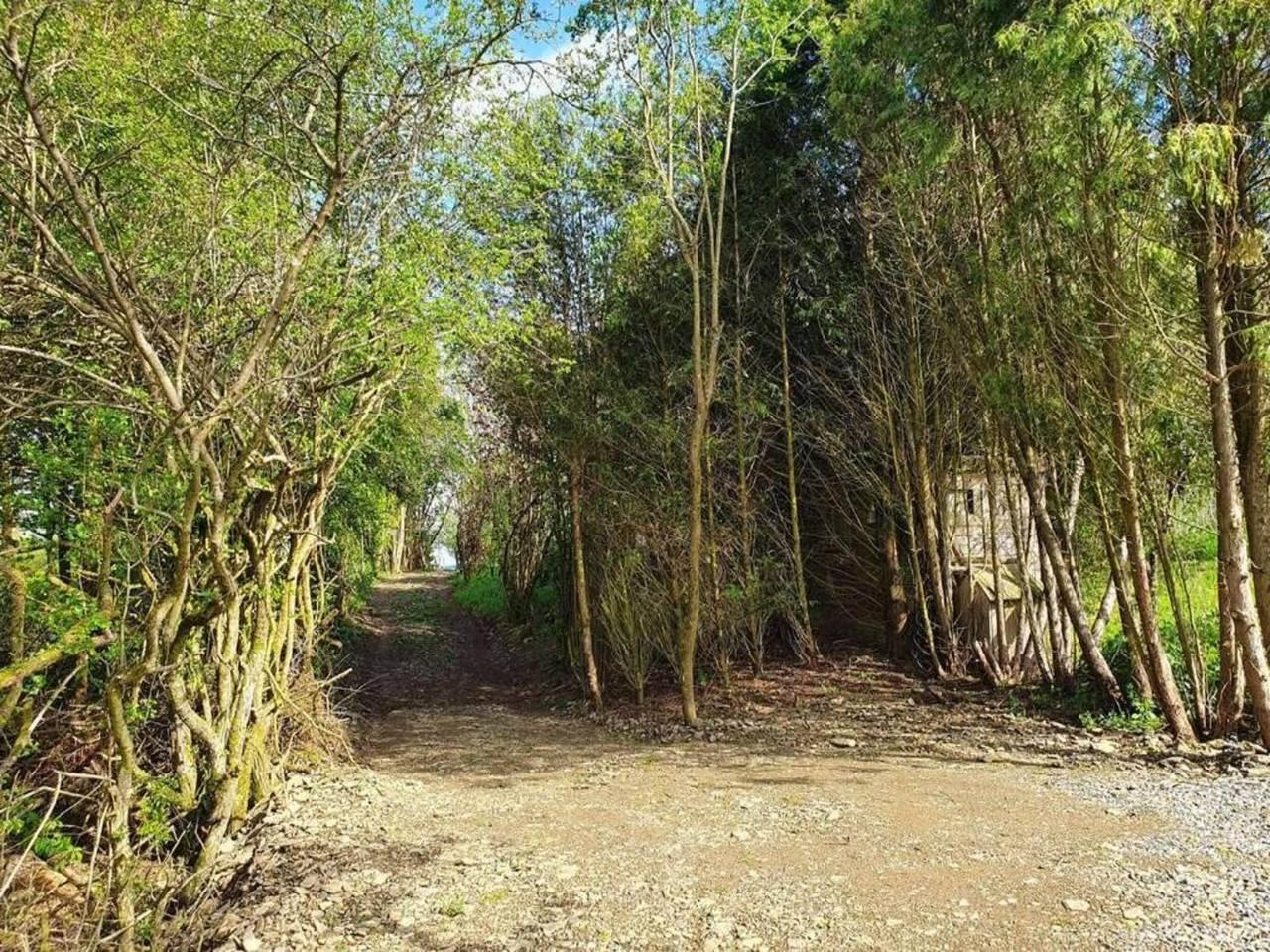 Vakantiehuis in Houffalize bij Nisramont in Houffalize, Bastenaken, België voor 6 personen foto 15