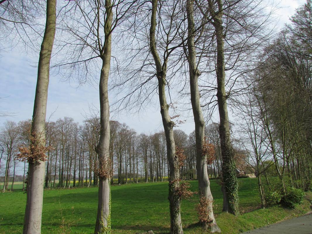 Vakantiehuis in Ermenouville, Frankrijk voor 6 personen foto 18