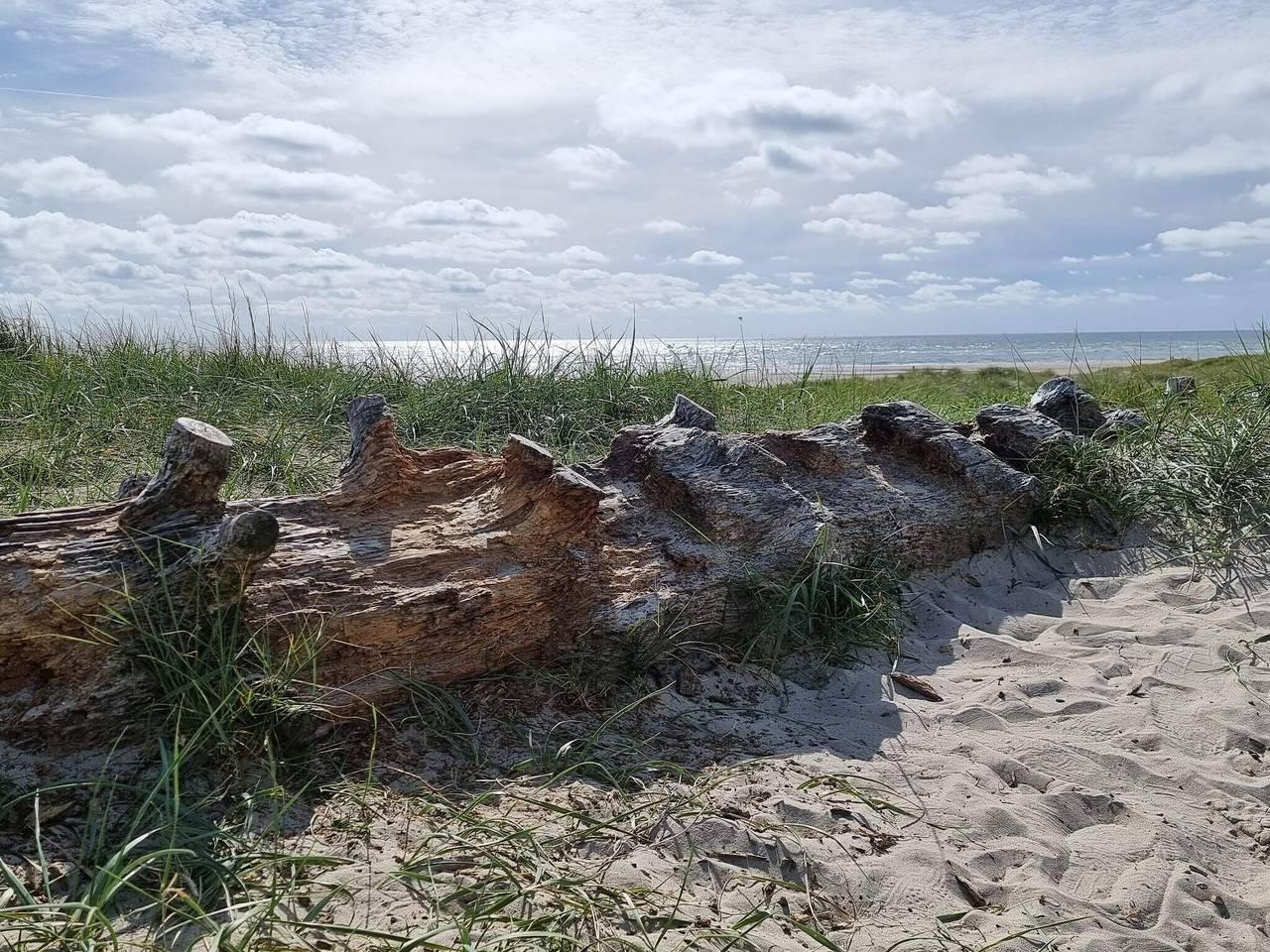 Vakantiehuis in Blåvand, Denemarken voor 8 personen foto 11