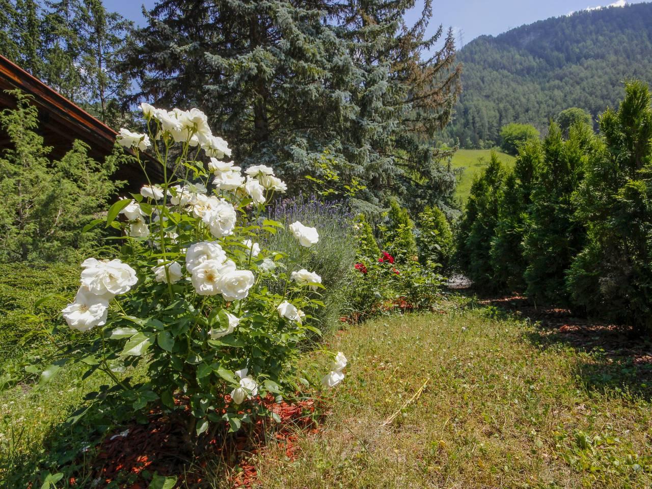 Vakantieappartement in Ötztal Alps, Oostenrijk voor 6 personen foto 14