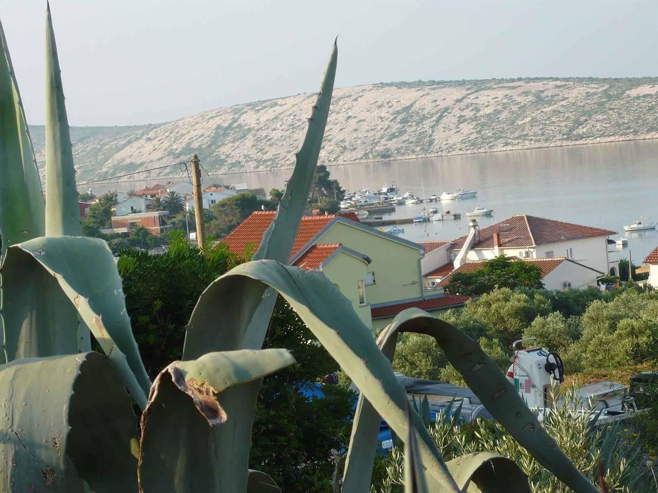 Vakantieappartement in Rab, Kroatië voor 7 personen foto 8