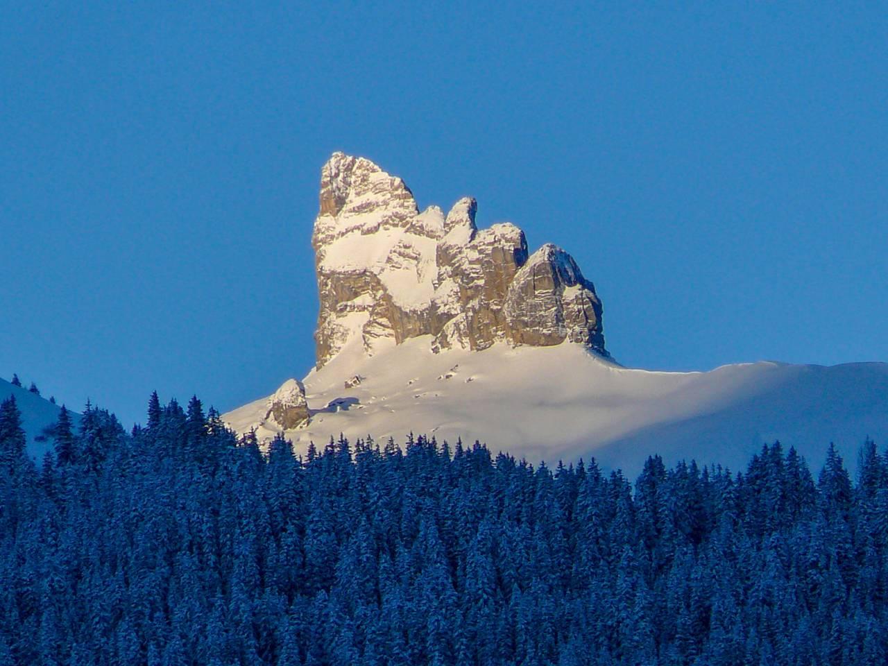Rose Studio Y in Wengen, Lauterbrunnen, Zwitserland voor 2 personen foto 19
