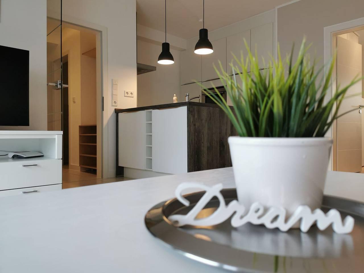 Vakantieappartement in Waddenzee, Duitsland voor 3 personen foto 3