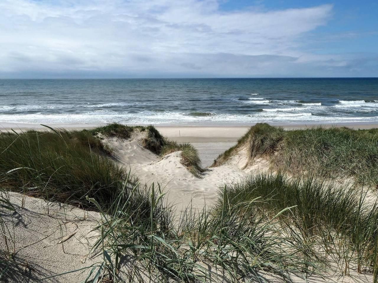 Vakantiehuis in Søndervig, Denemarken voor 5 personen foto 16
