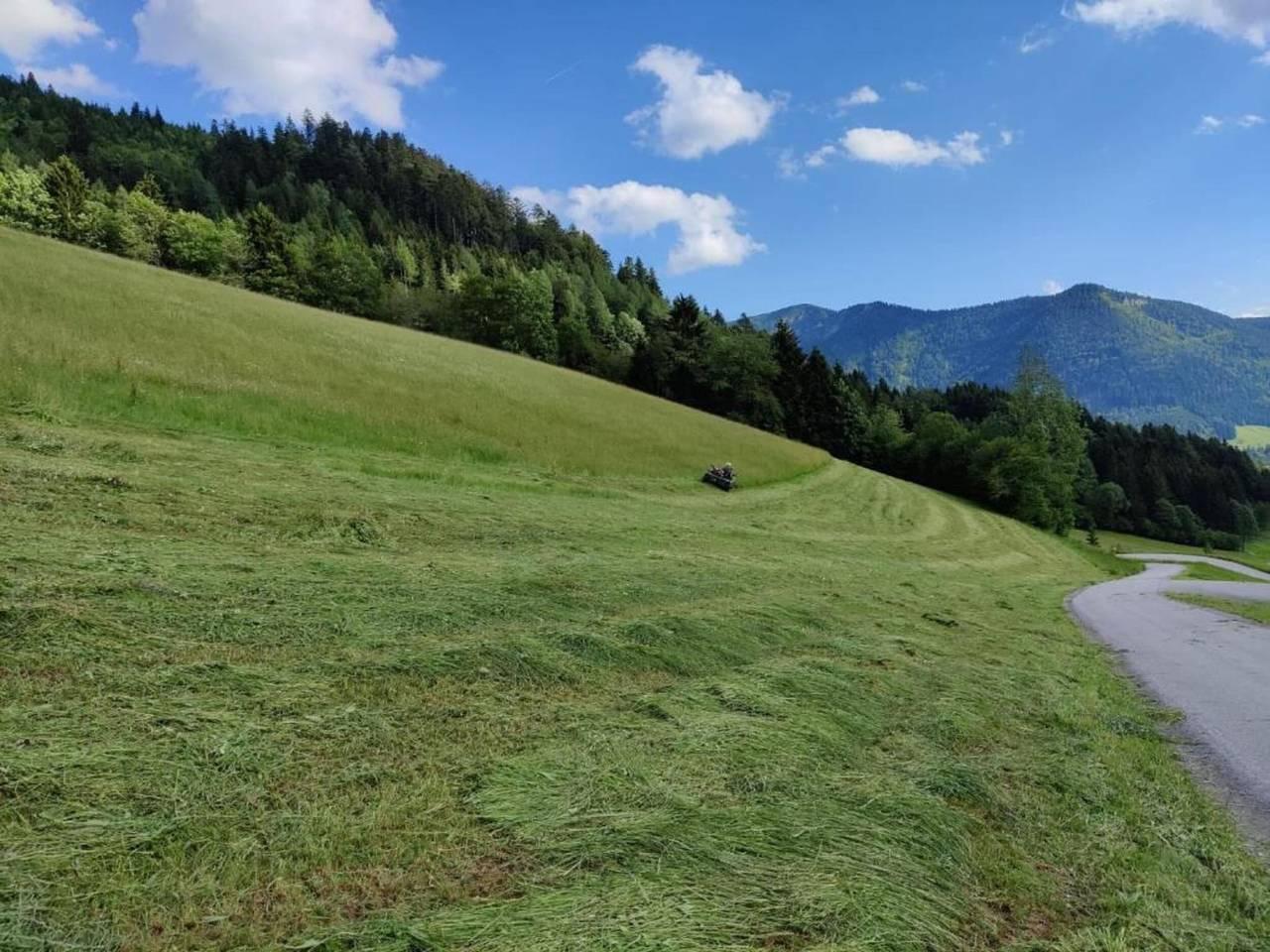 Vakantieappartement met sauna en hond toegestaan in Flachau, Tennengau, Oostenrijk voor 15 personen foto 19