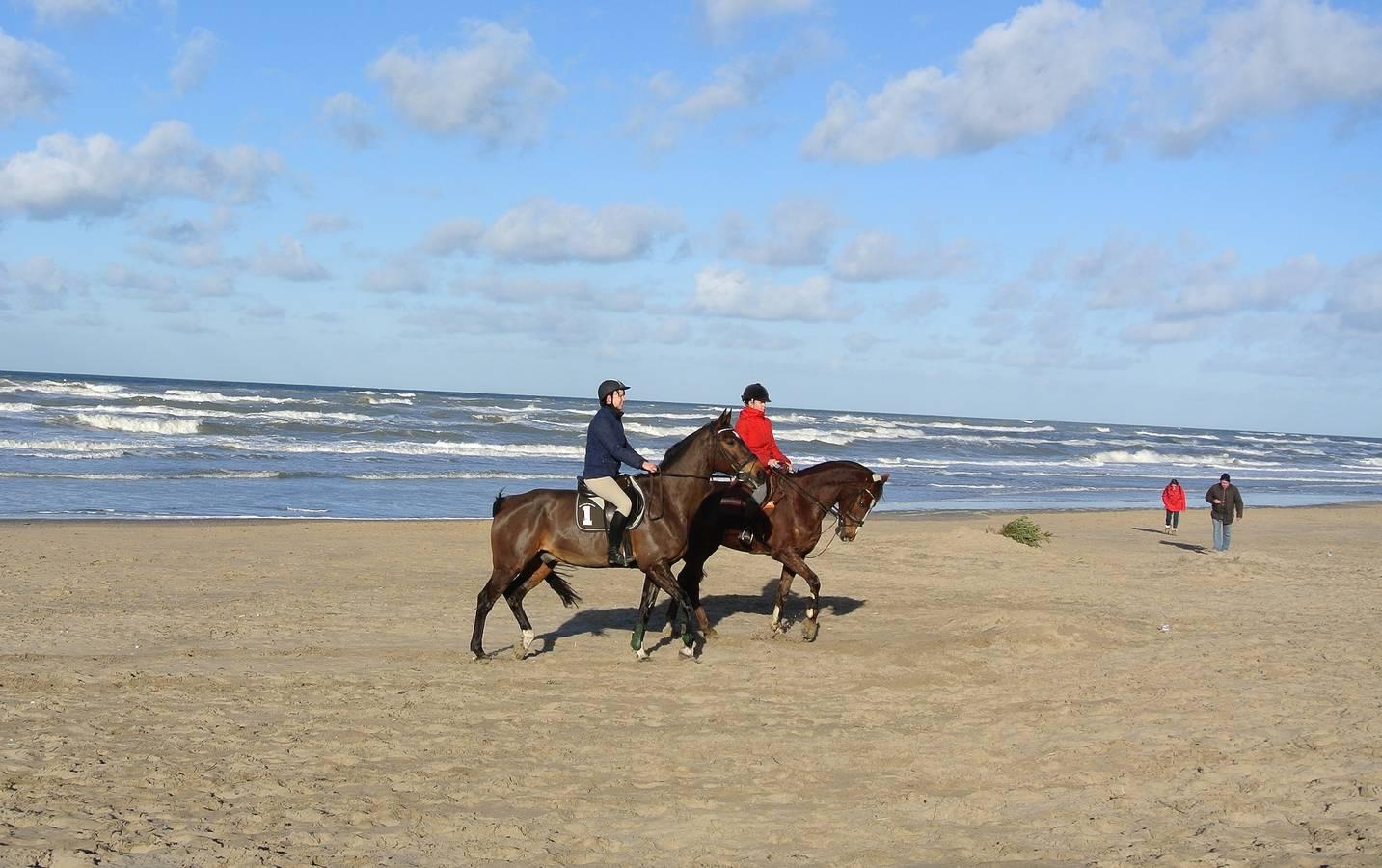 Vakantiehuis in Noordwijkerhout, Nederland voor 4 personen foto 9