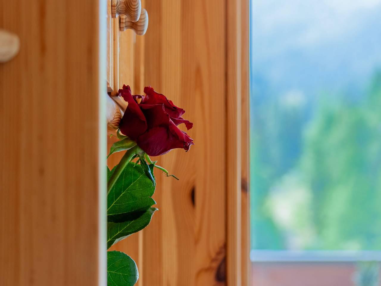 Rosablanche met 1 slaapkamer en sauna in Sornard (Nendaz), Nendaz, Zwitserland voor 4 personen foto 5