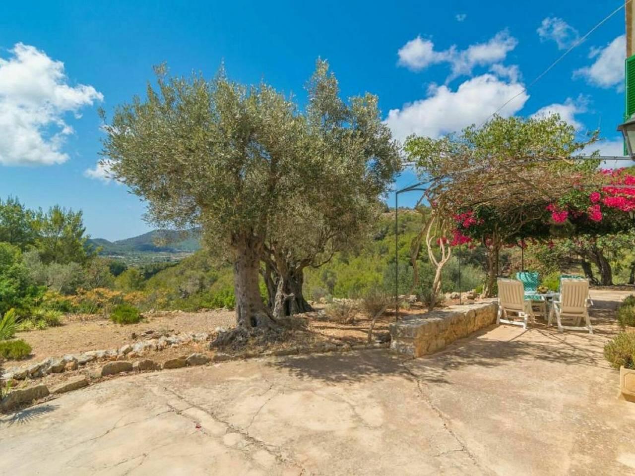 Vakantiehuis in Andratx, Spanje voor 4 personen foto 15