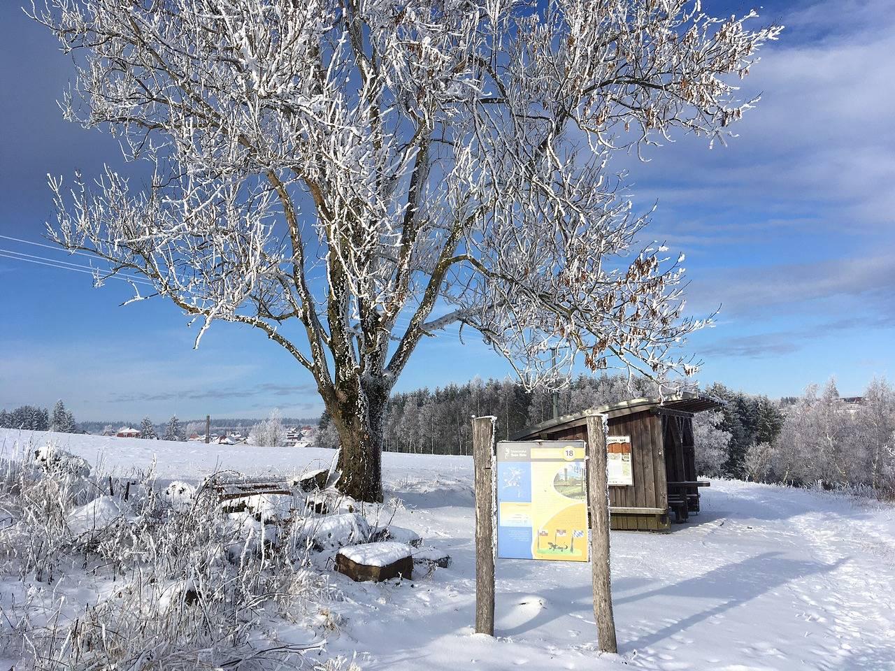Vakantiehuis in Rhön, Duitsland voor 5 personen foto 7
