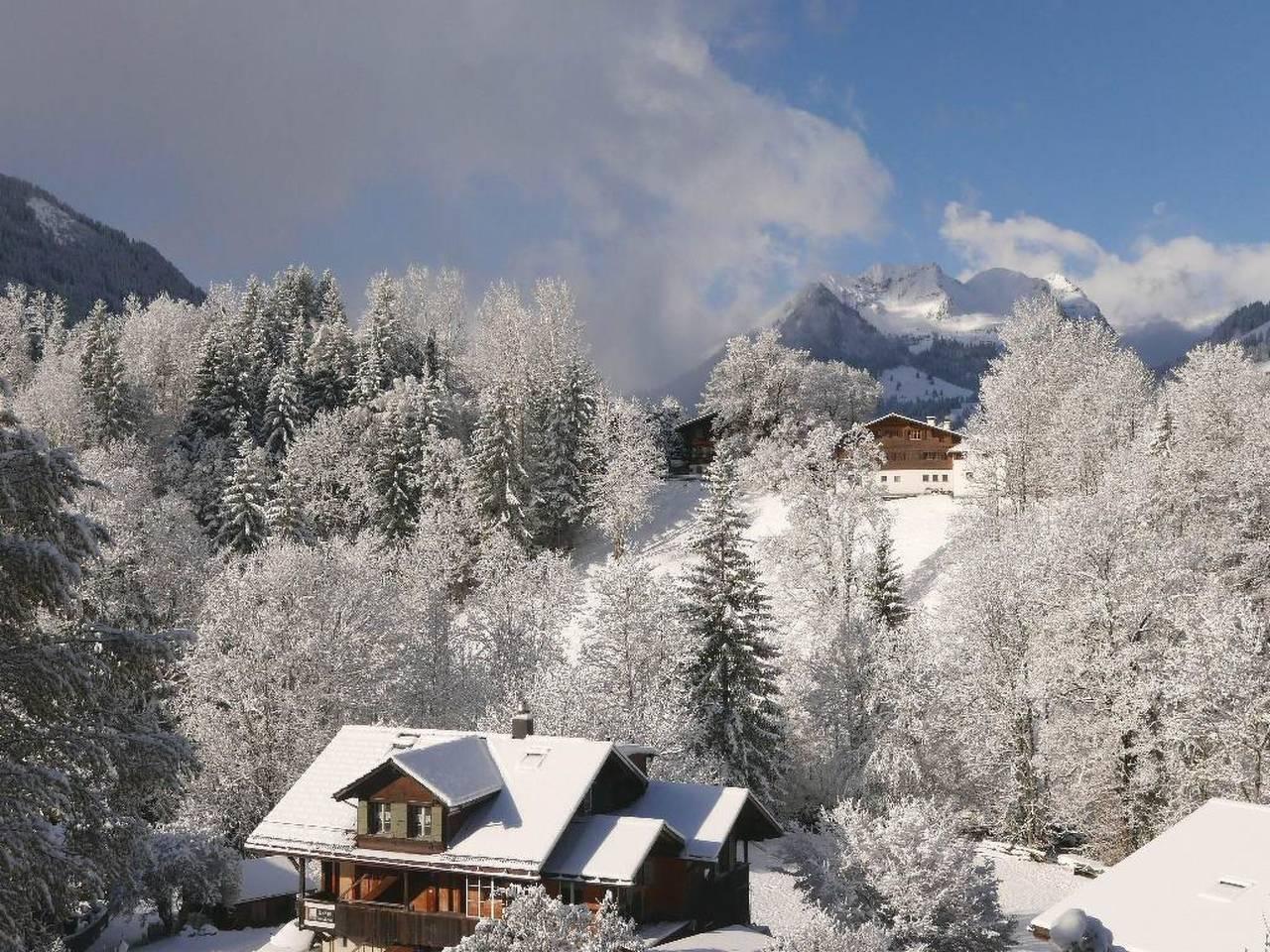 Vakantieappartement in Saanen, Zwitserland voor 9 personen foto 15