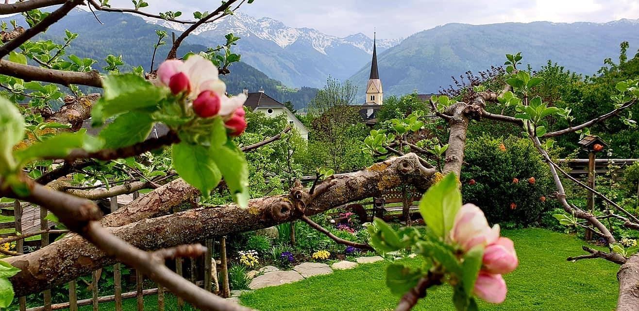 Vakantieappartement in Lungau, Oostenrijk voor 17 personen foto 13