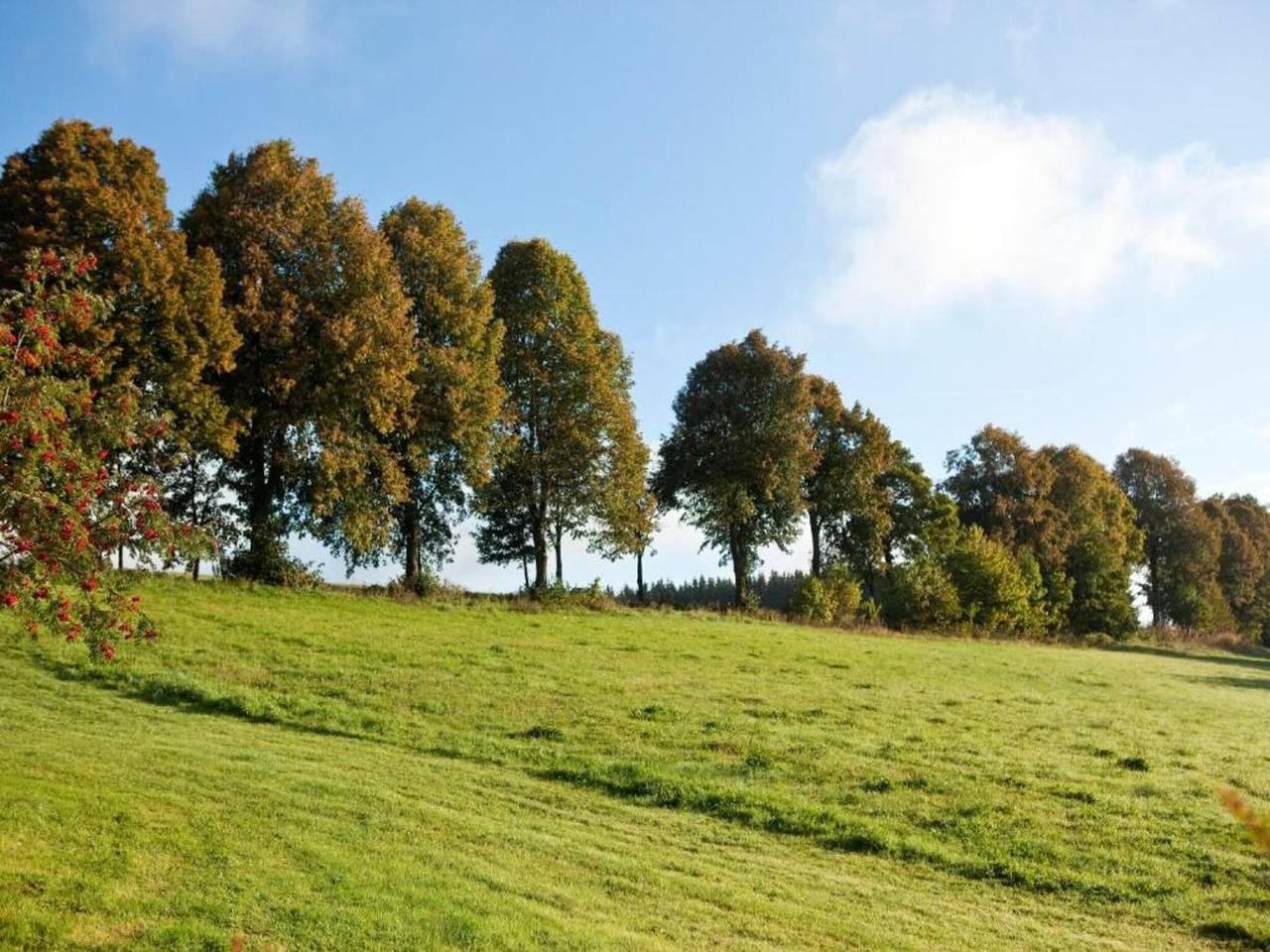 Vakantiehuis in Sauerland, Duitsland voor 12 personen foto 8