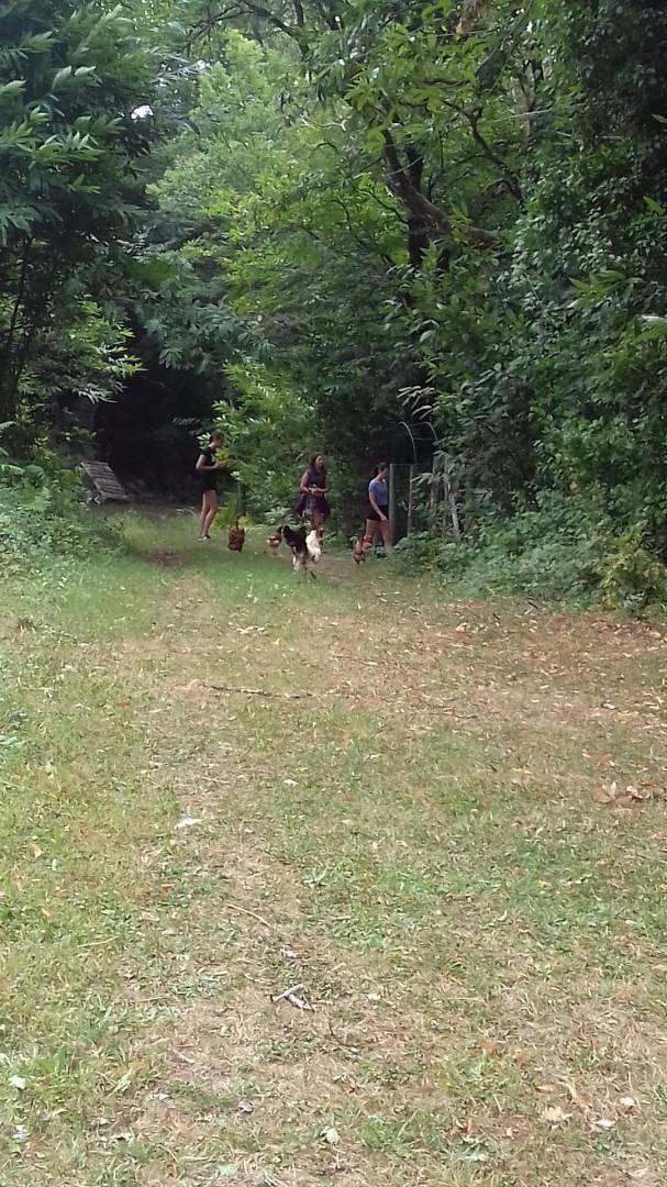 Vakantiehuis in Dordogne, Frankrijk voor 6 personen foto 15