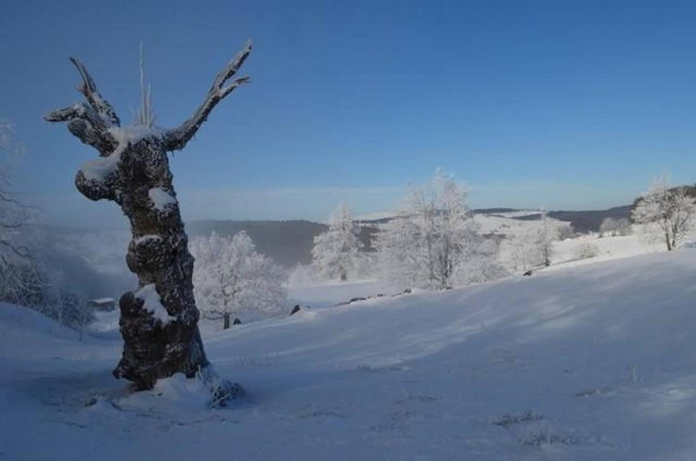 Vakantieappartement in Rhön, Duitsland voor 2 personen foto 10