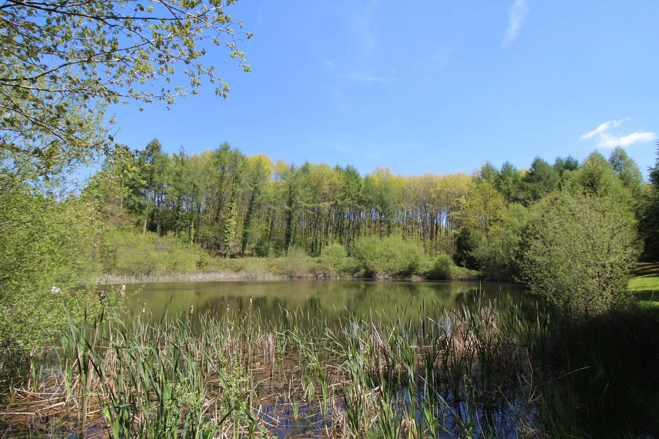 Vakantiehuis in Limousin, Frankrijk voor 7 personen foto 3