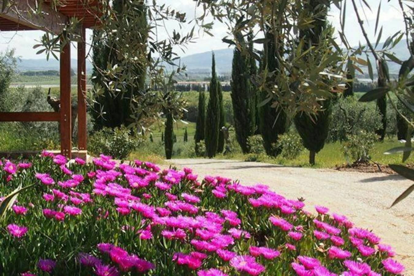 Vakantieappartement in Maremma, Italië voor 6 personen foto 6