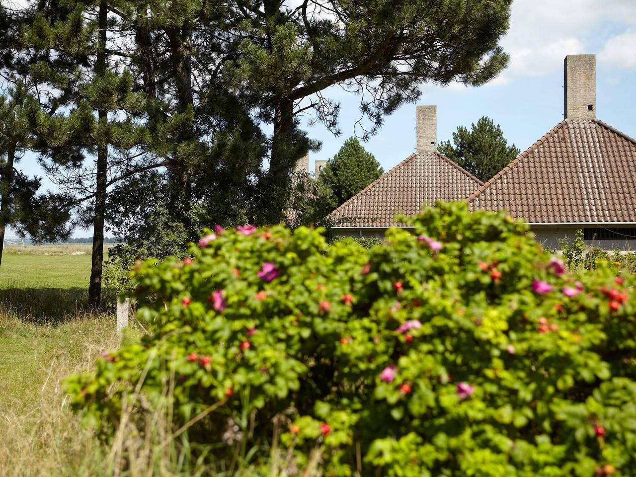 Vakantiehuis in Enø, Denemarken voor 180 personen foto 17