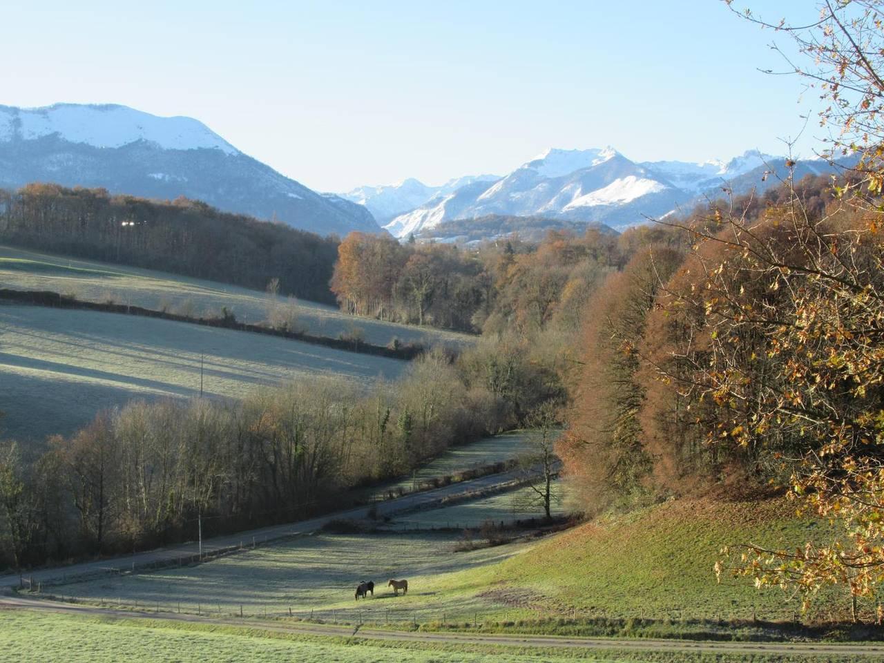 Vakantiehuis in Béarn, Frankrijk voor 6 personen foto 3