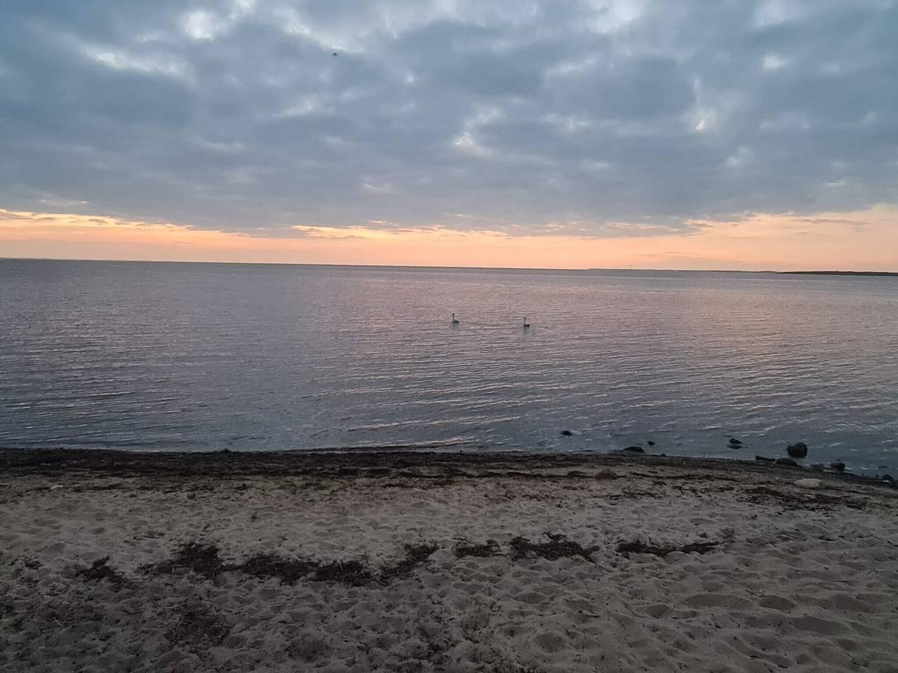 Vakantiehuis in Tarm, Denemarken voor 8 personen foto 10