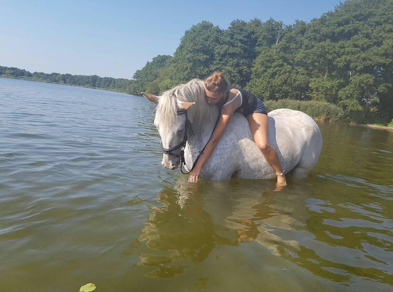 Vakantieappartement met zwembad en hond toegestaan in Groß Wittensee, Rendsburg-Eckernförde, Duitsland voor 2 personen foto 20