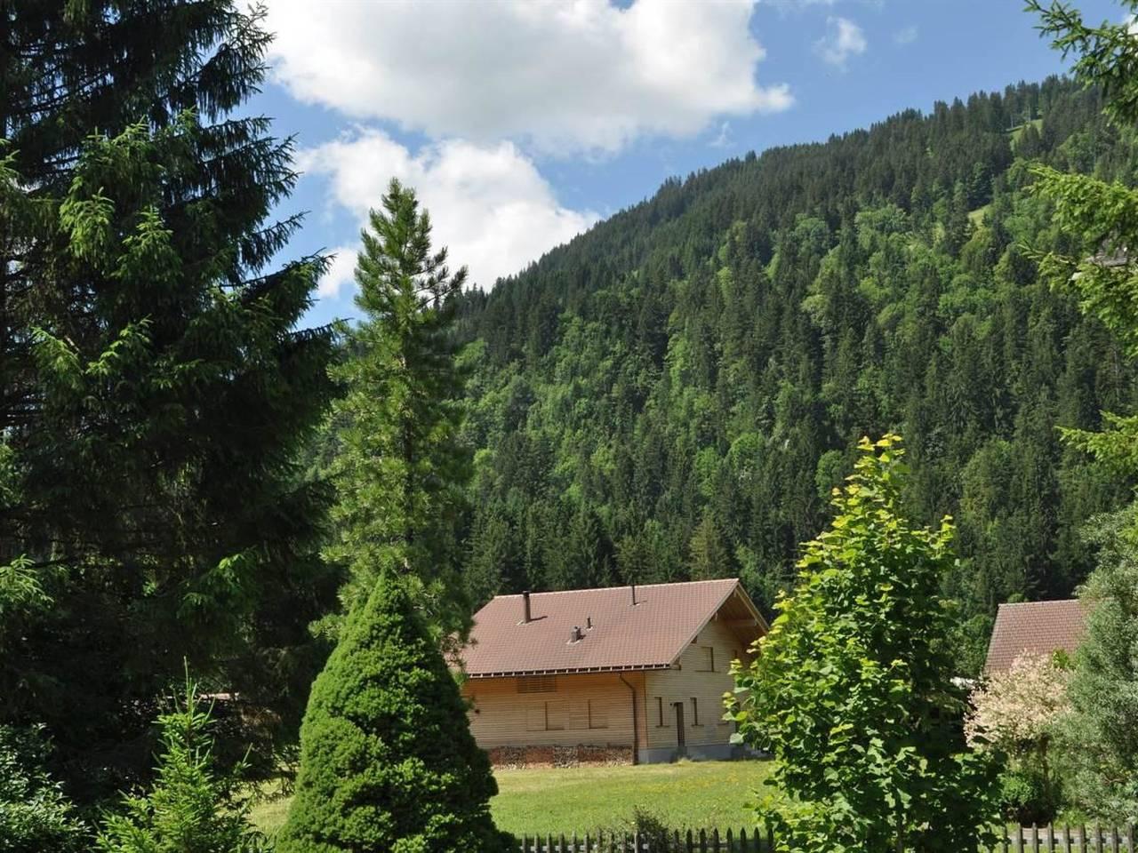 Vakantieappartement in Lenk, Zwitserland voor 6 personen foto 9