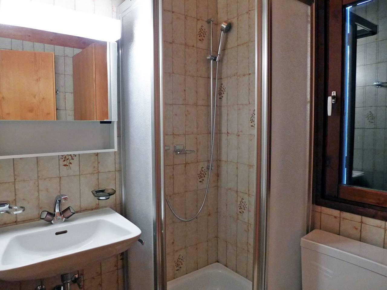 Vakantieappartement met binnenzwembad en zwembad in Gryon, Alpes Vaudoises, Zwitserland voor 6 personen foto 20