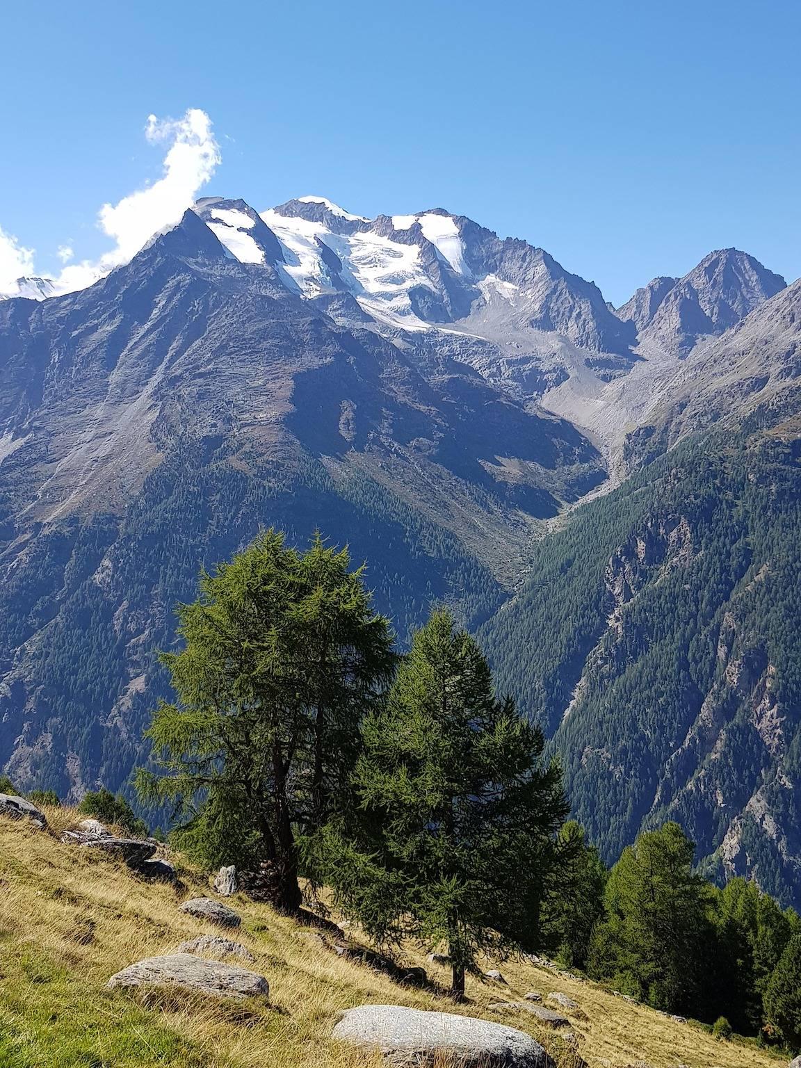 Vakantieappartement met speeltuin in Saas-Grund, Walliser Alpen, Zwitserland voor 6 personen foto 21