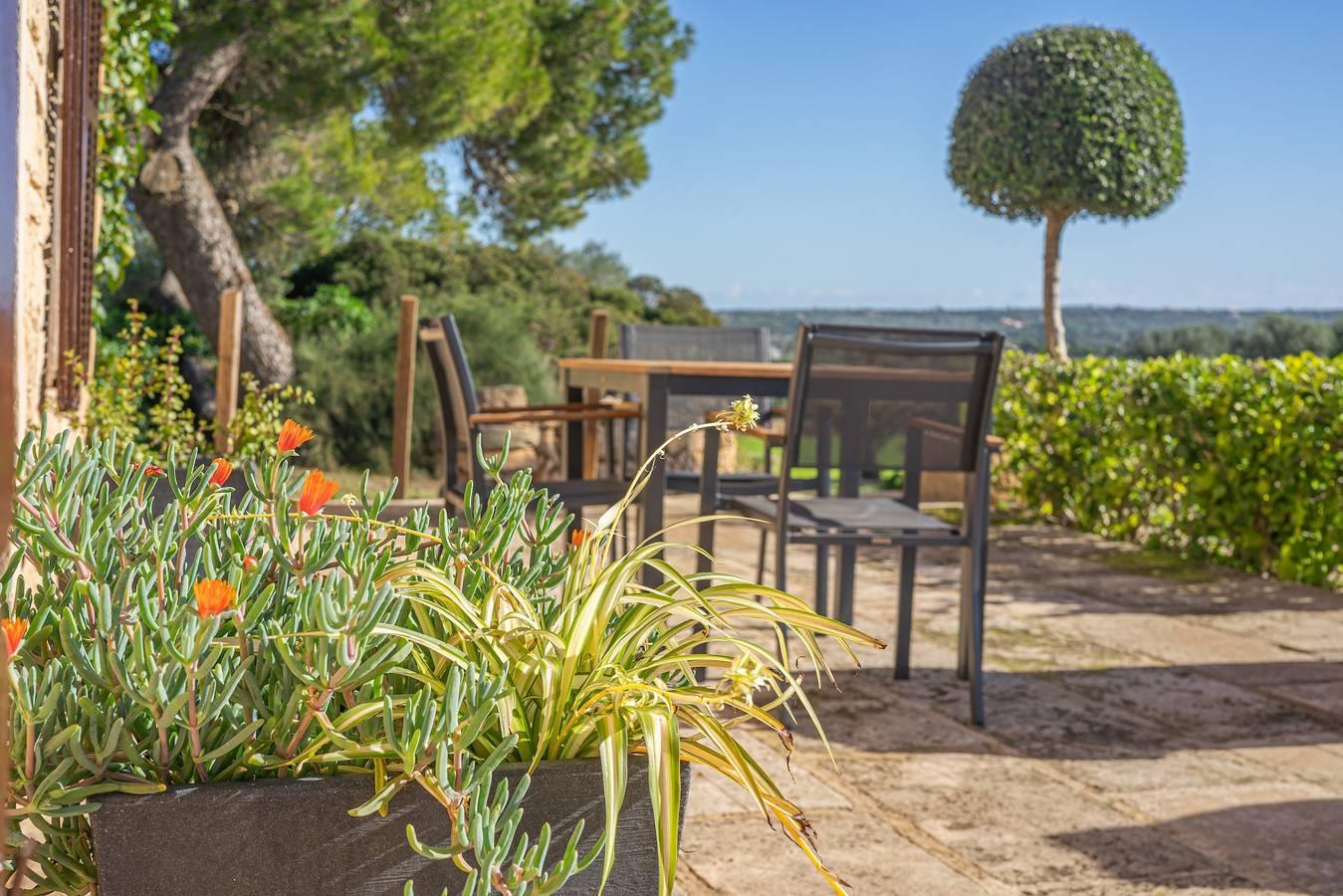 Vakantie Appartement "Es turo de Cabrera" met Tuin, Zwembad in Ses Salines, Kust van Mallorca, Spanje voor 4 personen foto 24