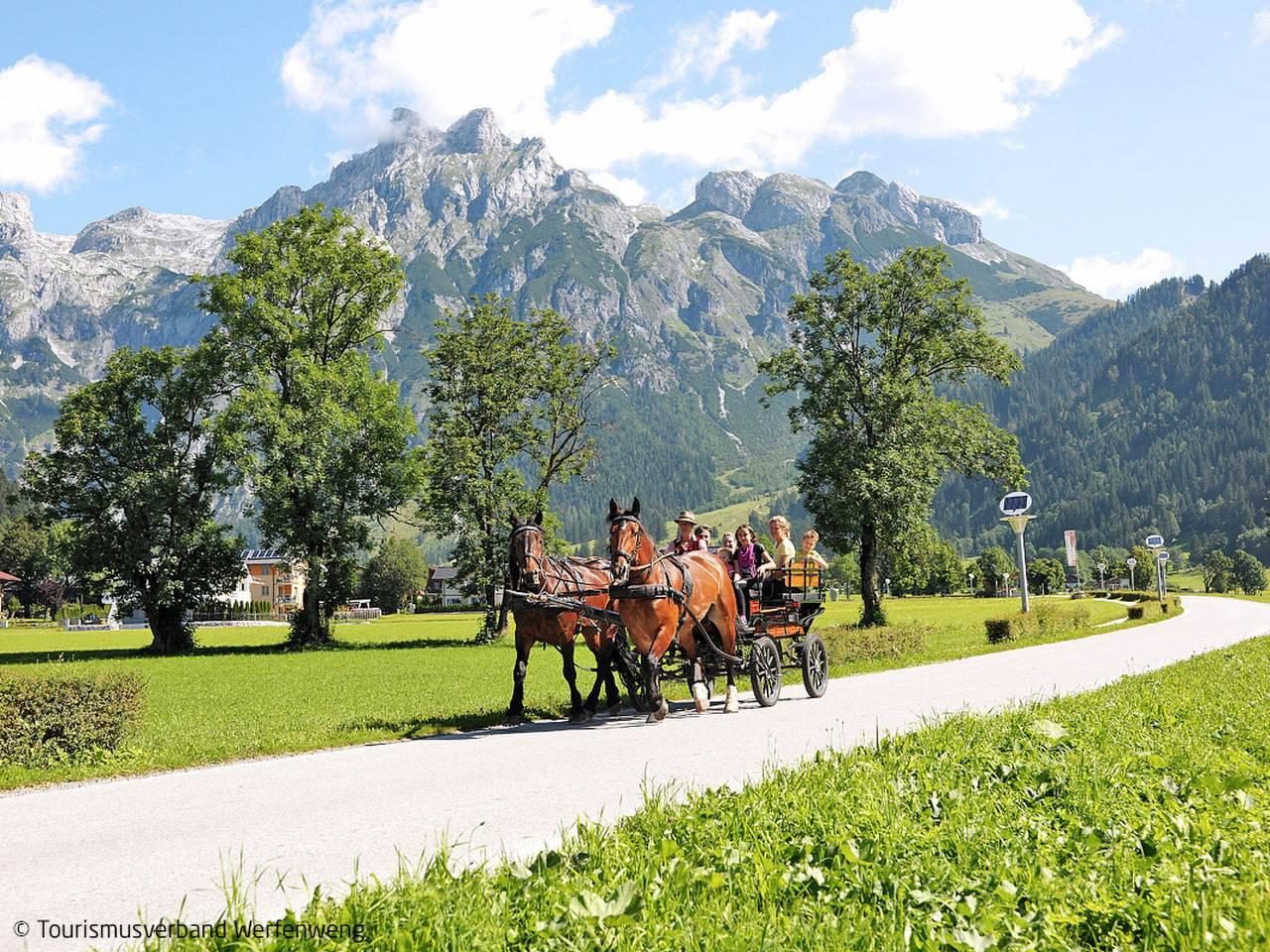 Edelweiss in Werfenweng, Tennengau, Oostenrijk voor 4 personen foto 23