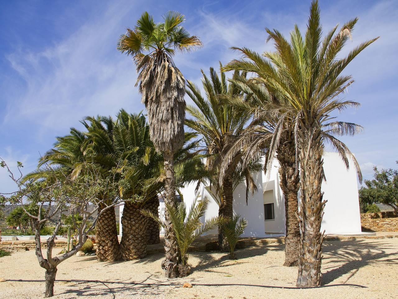 La Veleta in Los Gallardos, Costa de Almería, Spanje voor 4 personen foto 22