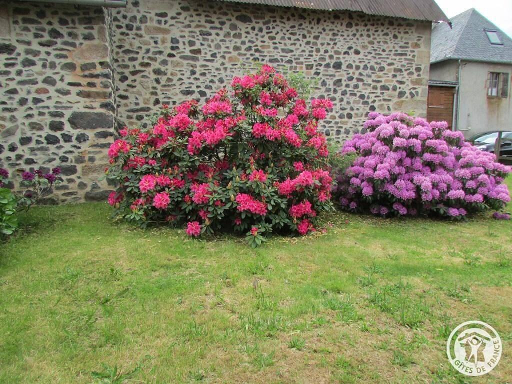 Vakantiehuis in Corrèze, Frankrijk voor 4 personen foto 13