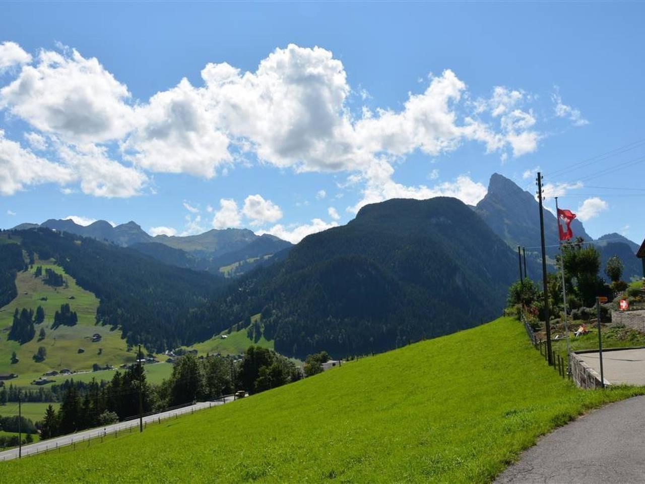 Vakantieappartement in Saanen, Zwitserland voor 5 personen foto 4
