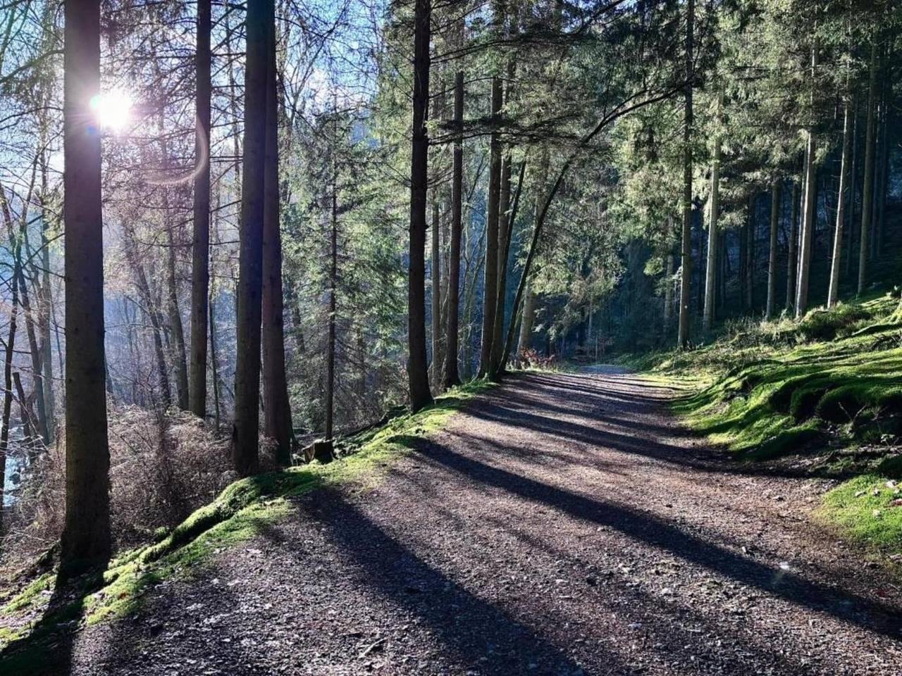 Vakantiehuis in Ardennen met Tuinzicht in Amel, Natuurgebied Hautes Fagnes, België voor 9 personen foto 24