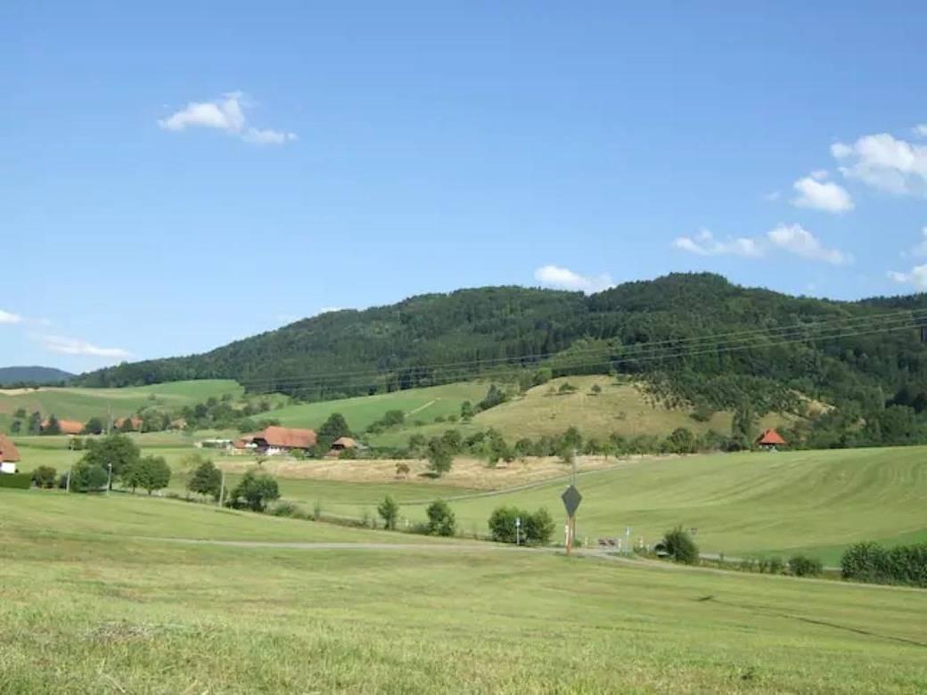 Vakantiehuis met terras in Steinach, Central Black Forest, Duitsland voor 3 personen foto 19