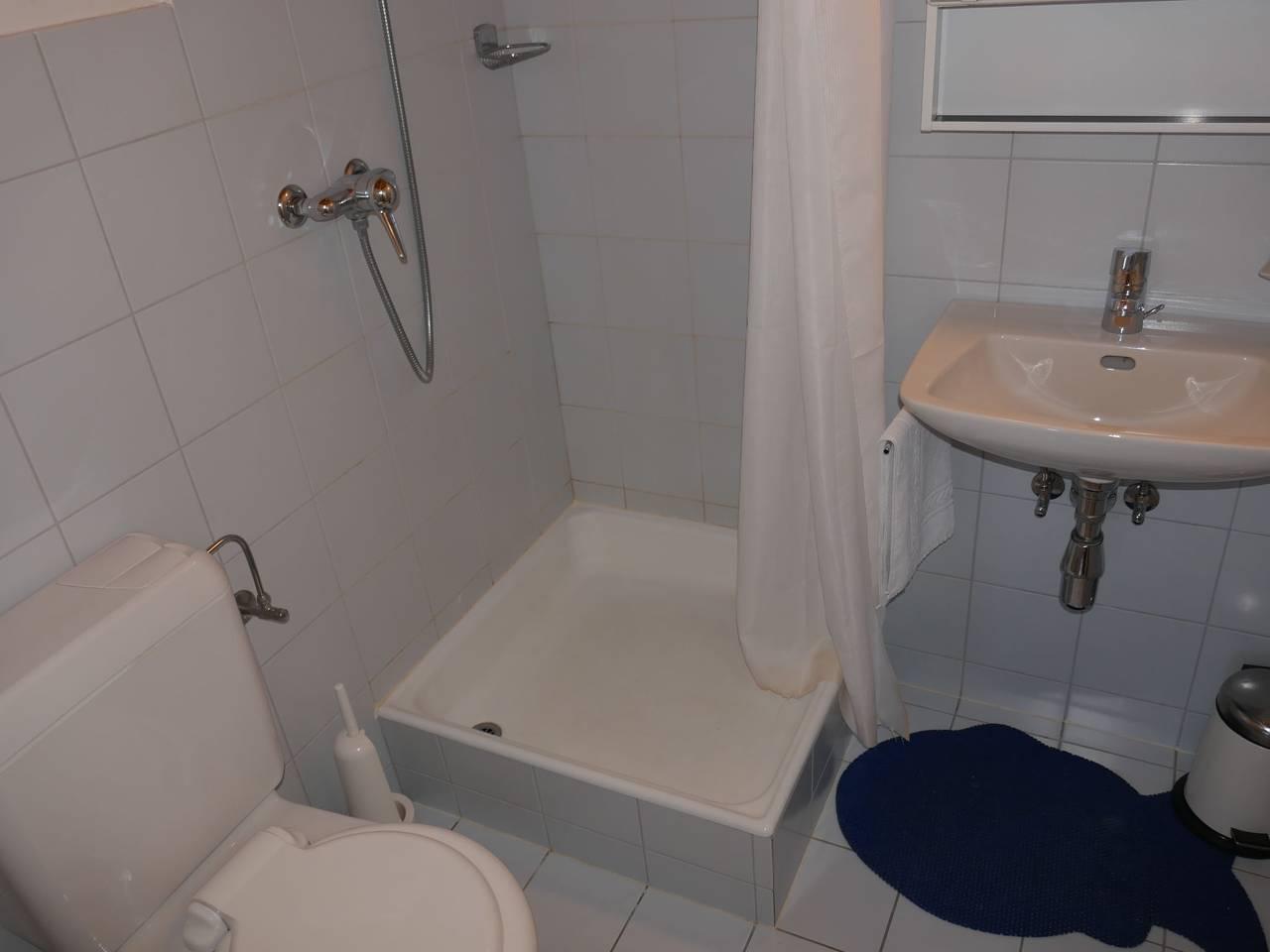 Rosablanche met 1 slaapkamer en sauna in Sornard (Nendaz), Nendaz, Zwitserland voor 4 personen foto 6