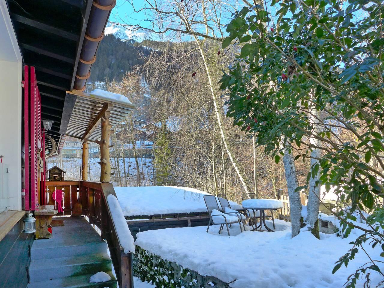 Vakantieappartement met hond toegestaan in Wengen, Lauterbrunnen, Zwitserland voor 4 personen foto 22