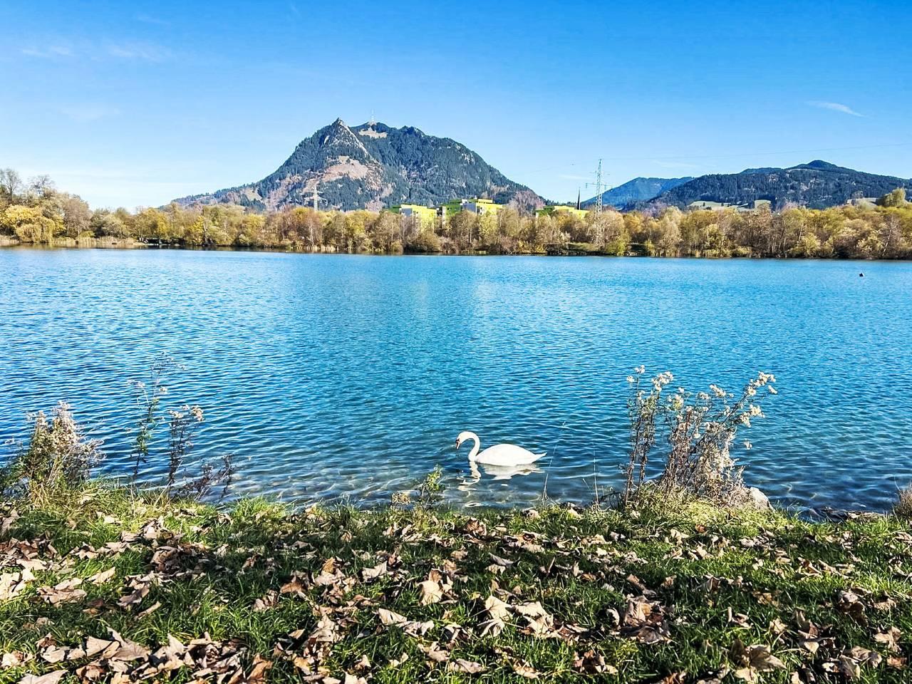Panorama in Sonthofen, Zwaben (Bayern), Duitsland voor 4 personen foto 22