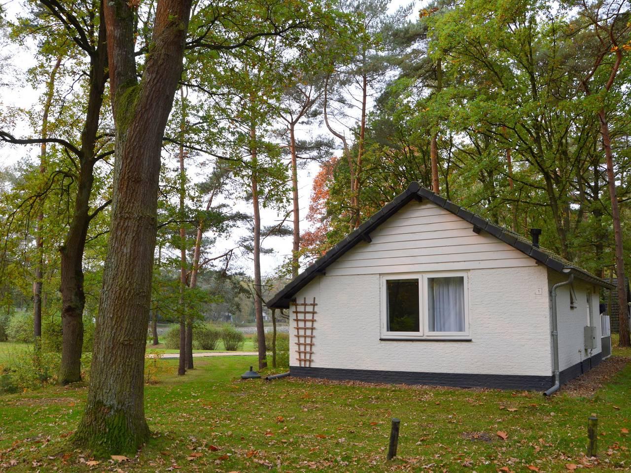 Vakantiehuis in Stramproy, Nederland voor 3 personen foto 18