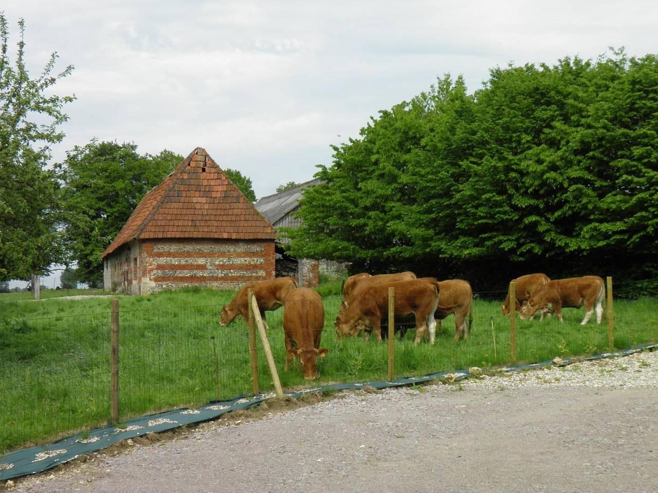 Vakantiehuis in Val-de-Saâne, Frankrijk voor 7 personen foto 18