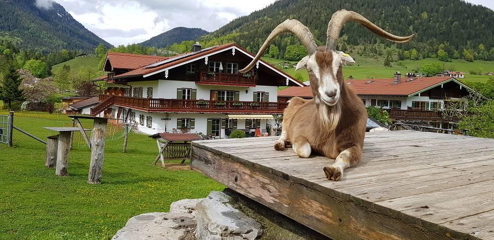 Vakantieappartement in Opper-Beieren, Duitsland voor 4 personen foto 12