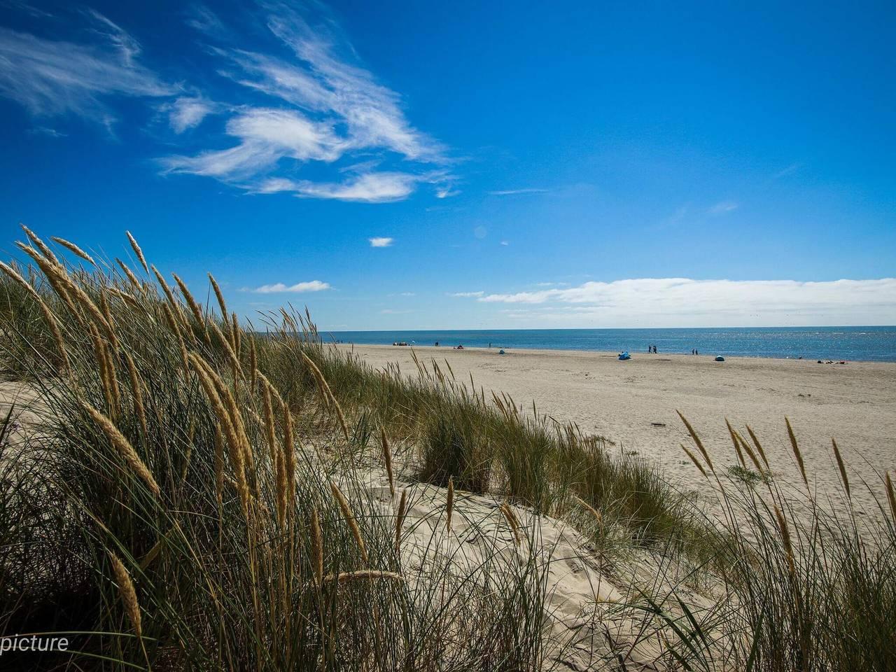 Vakantiehuis in Blåvand, Denemarken voor 8 personen foto 3