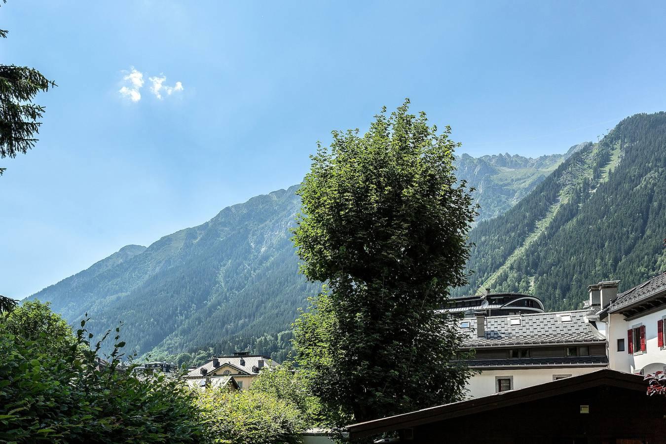 Vakantiehuis in Chamonix, Frankrijk voor 10 personen foto 2